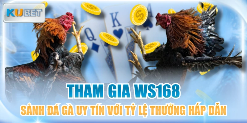 Tham Gia WS168 - Sảnh Đá Gà Uy Tín Với Tỷ Lệ Thưởng Hấp Dẫn