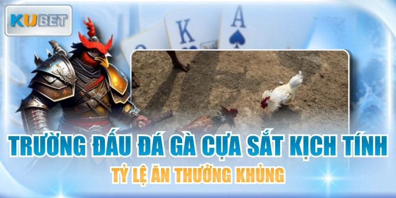 Trường Đấu Đá Gà Cựa Sắt Kịch Tính Tỷ Lệ Ăn Thưởng Khủng